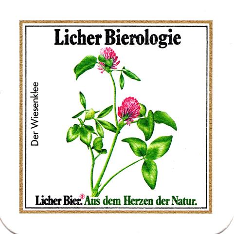 lich gi-he licher biero blu eckig 3b (quad185-der wiesenklee)